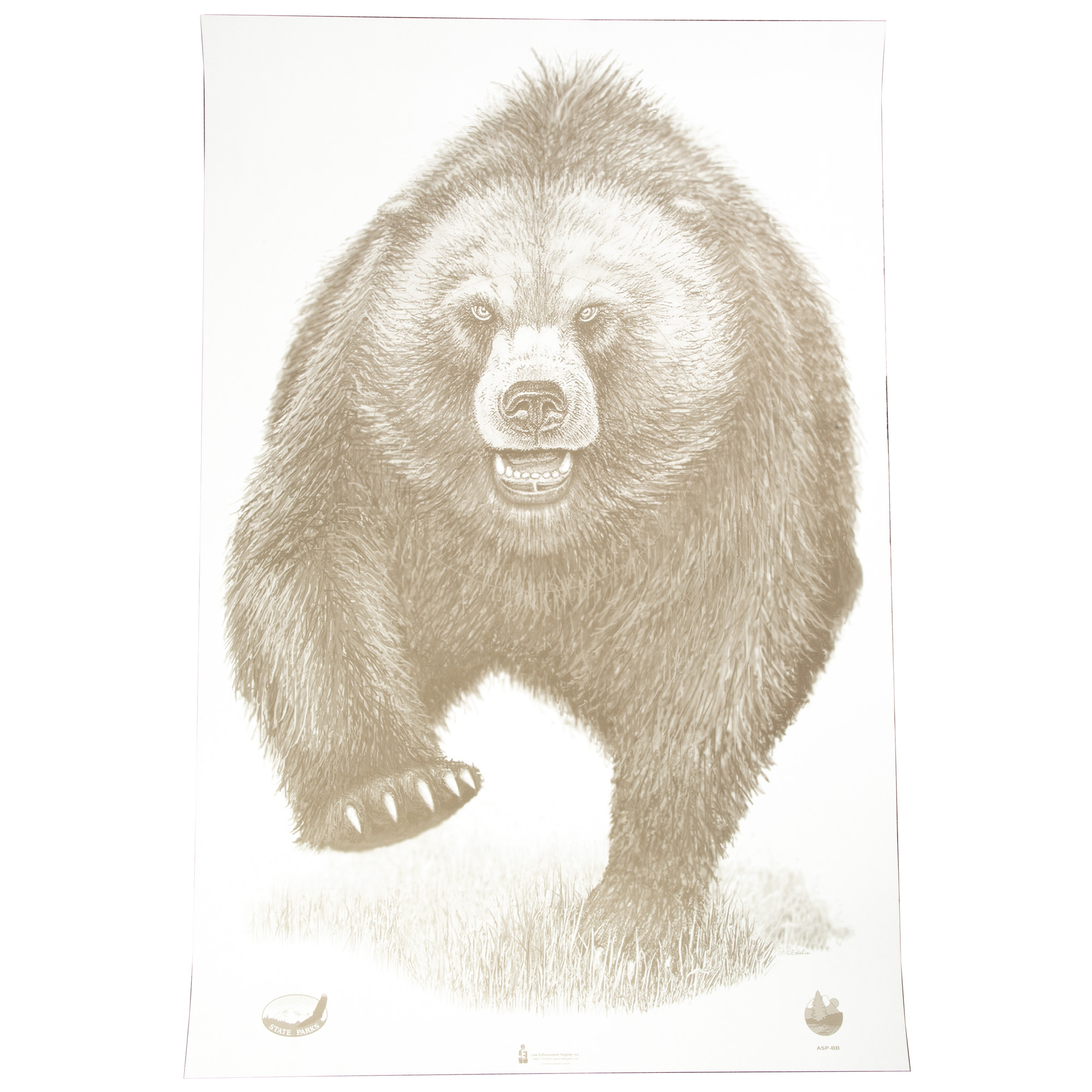 Action Target Alaska State Parks Bear Target