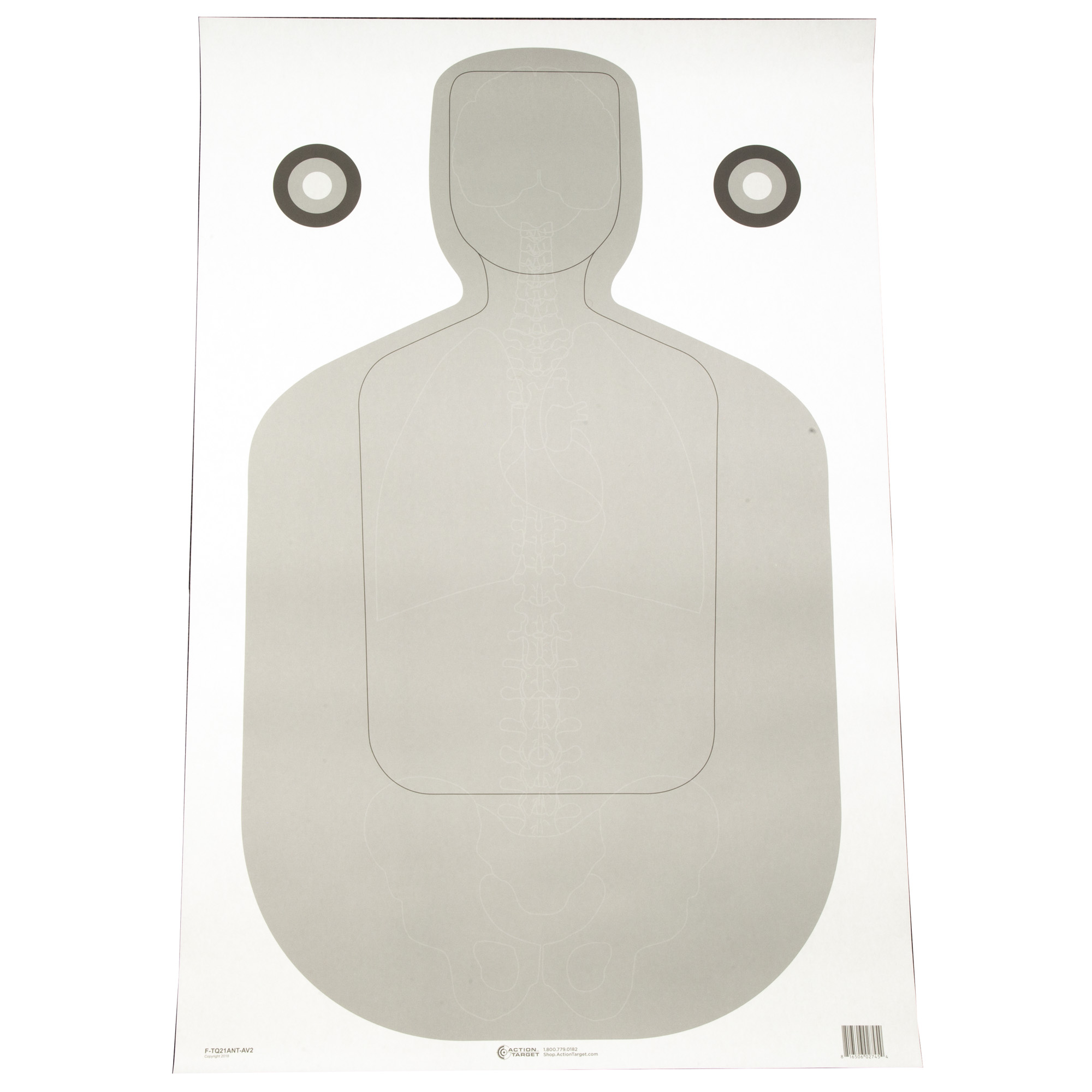 Action Target TQ-21 Qualification Target