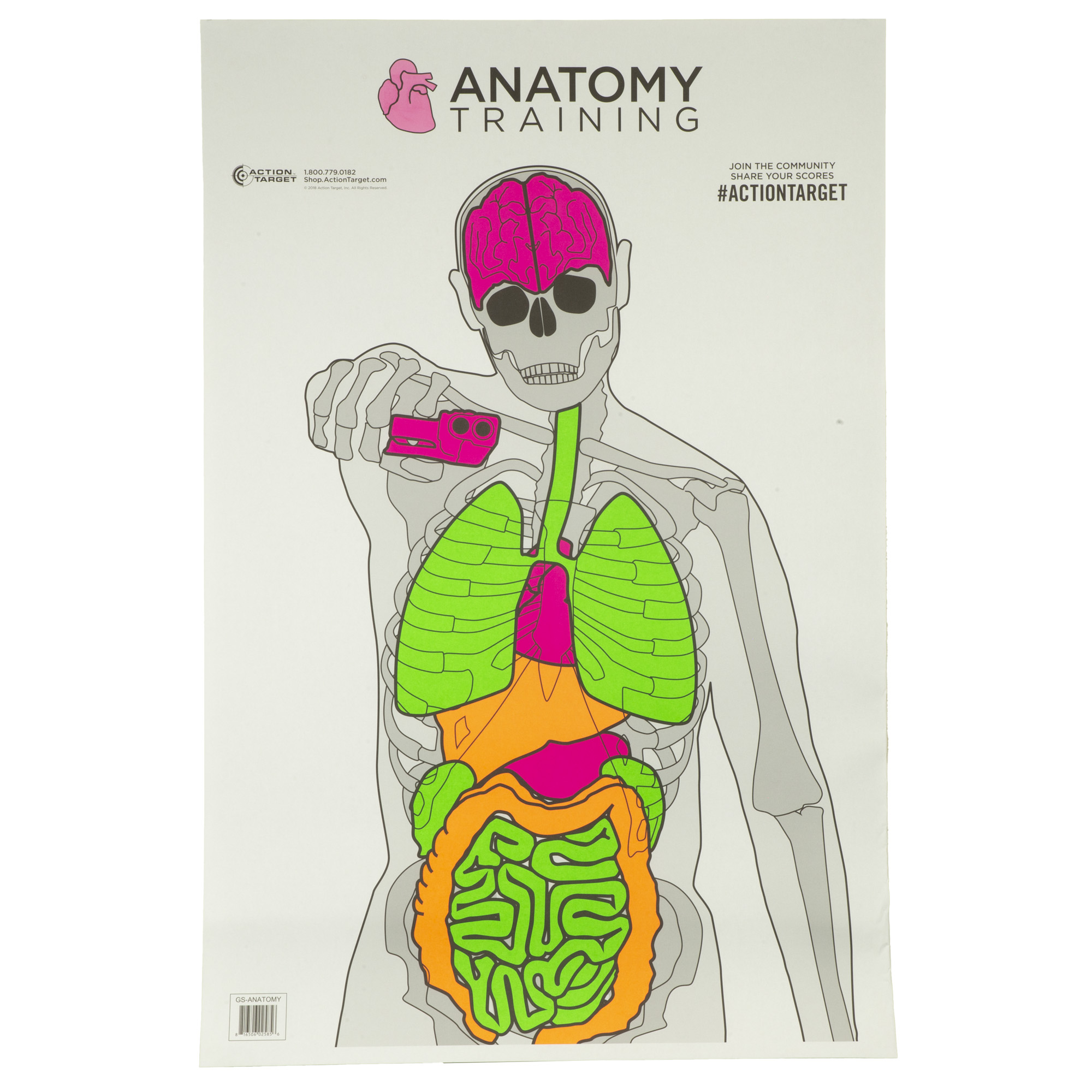 Action Target Anatomy Training Target