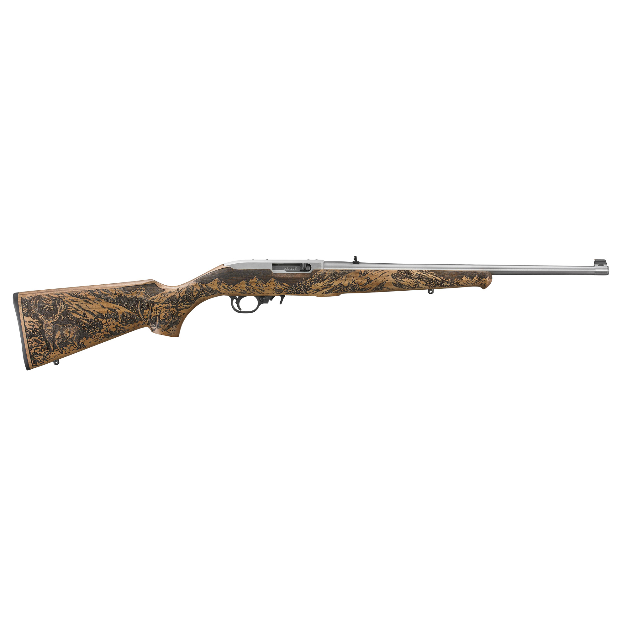 Ruger 10/22 Mule Deer Foundation Rifle 18.5″ 22 LR 10rd – Silver