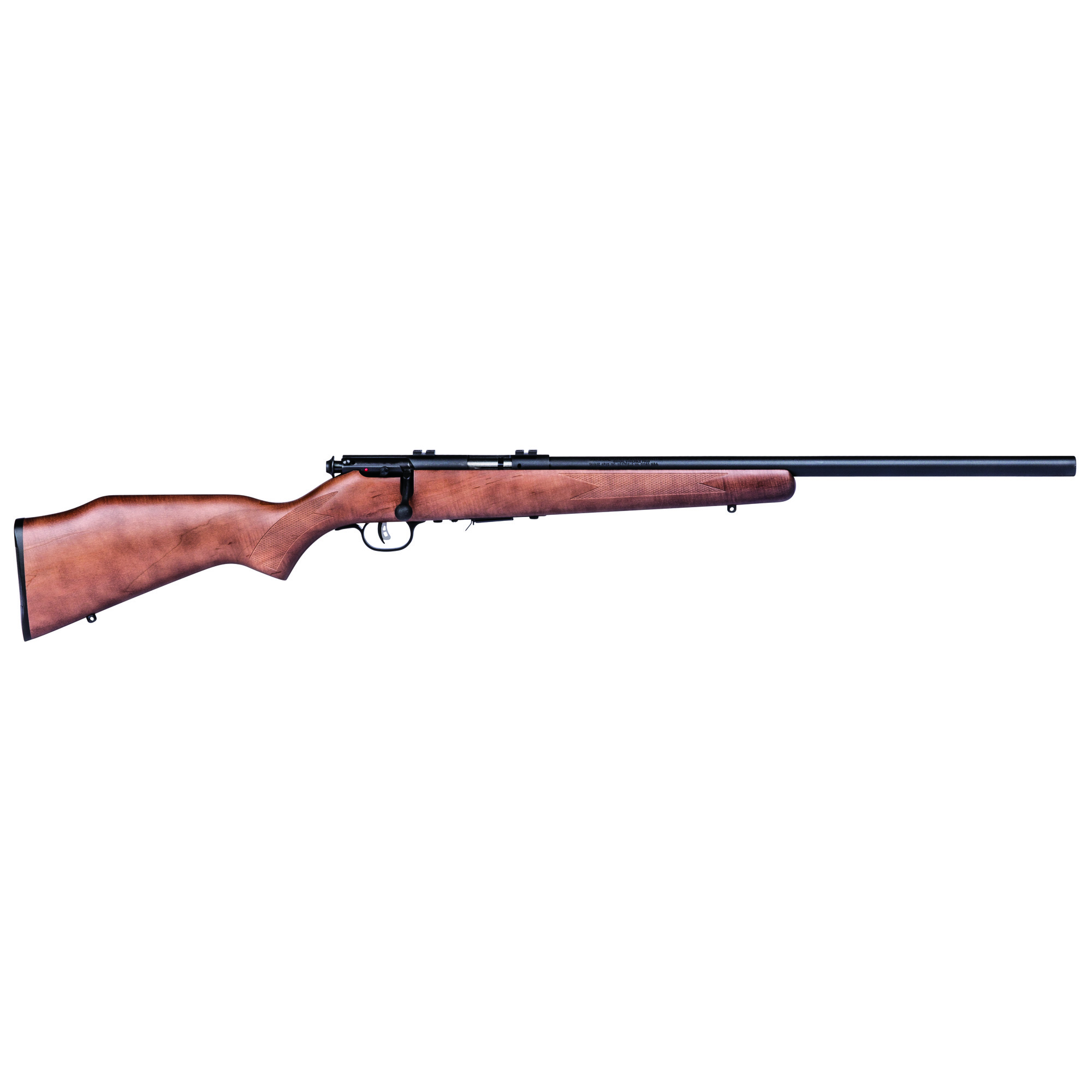 Savage Arms 93R17GV 21" 17 HMR 5 Rounds - Blue-img-1